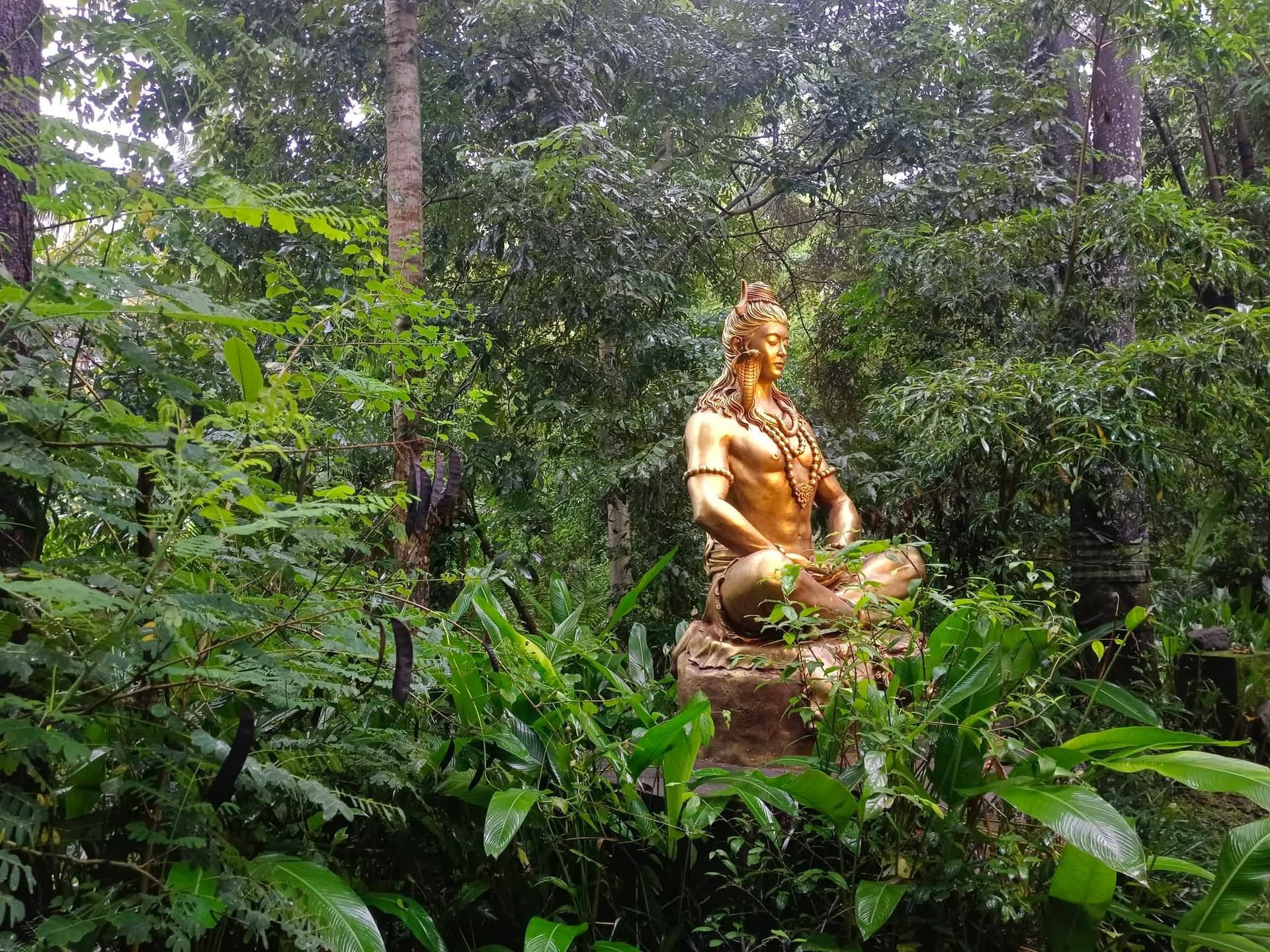 A golden statue in meditation among the trees at Ashram Gandhi Puri
